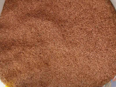 bti体育平台·(中国)官方网站